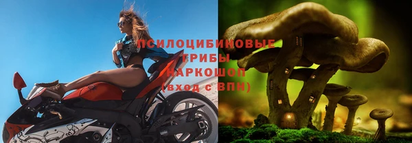 дживик Армянск