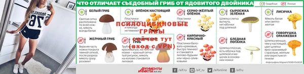 прущая мука Аркадак
