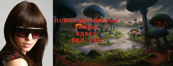 mdpv Арсеньев
