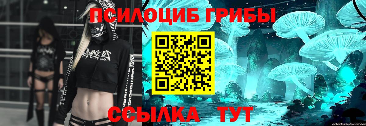 Псилоцибиновые грибы Magic Shrooms  Псилоцибиновые грибы мухоморы  Вход с VPN  Мытищи 